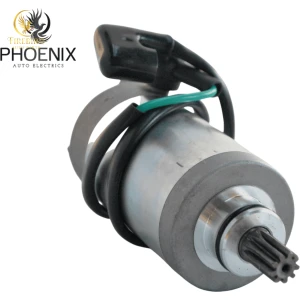 Starter Motor suit Yamaha ATV Big Bear